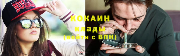 ешки Корсаков