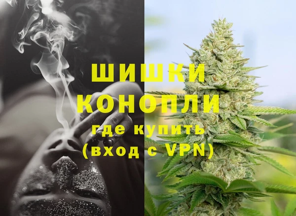 шишки Костерёво