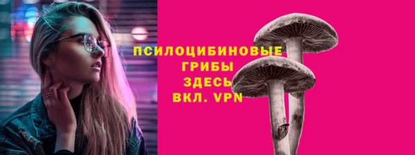 шишки Костерёво