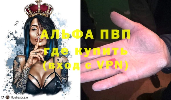 ешки Корсаков