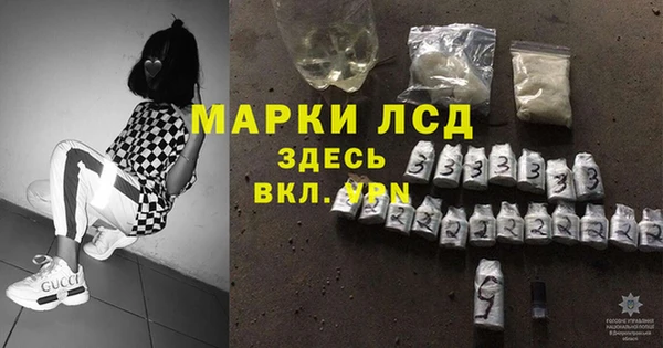 ешки Корсаков
