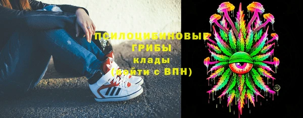 ешки Корсаков