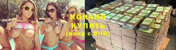 ешки Корсаков
