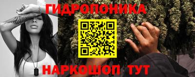 jwh Донской