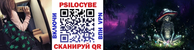 сколько стоит  darknet телеграм  Галлюциногенные грибы ЛСД  Михайловка 