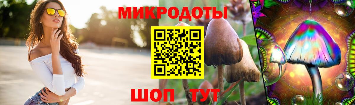 Галлюциногенные грибы Cubensis Михайловка