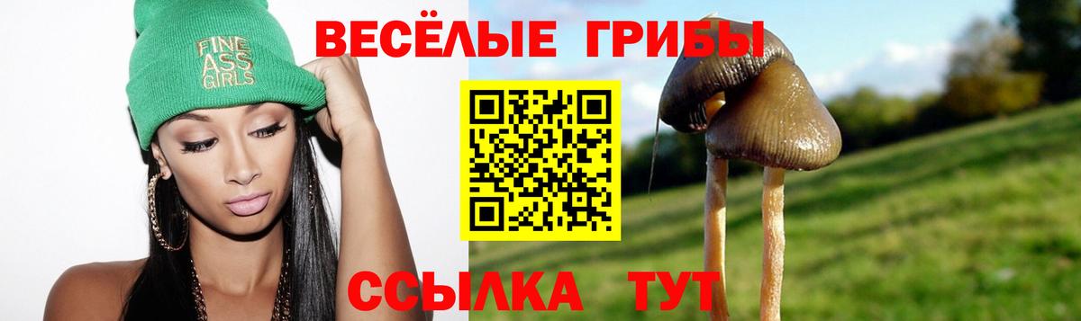 Михайловка  Псилоцибиновые грибы Cubensis  Вход с VPN 